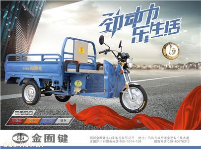  电动三轮货车